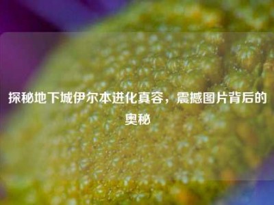 探秘地下城伊尔本进化真容，震撼图片背后的奥秘
