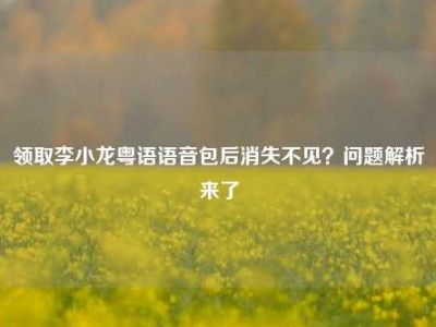 领取李小龙粤语语音包后消失不见？问题解析来了