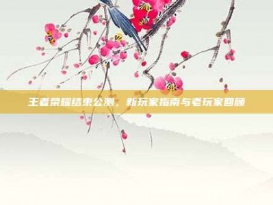 王者荣耀结束公测，新玩家指南与老玩家回顾