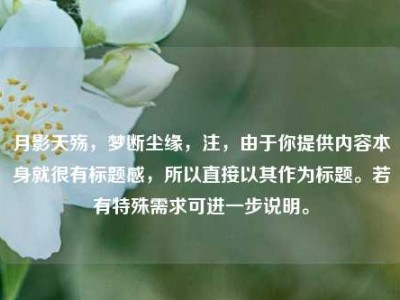 月影天殇，梦断尘缘，注，由于你提供内容本身就很有标题感，所以直接以其作为标题。若有特殊需求可进一步说明。