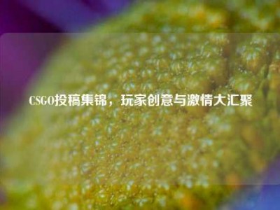 CSGO投稿集锦，玩家创意与激情大汇聚