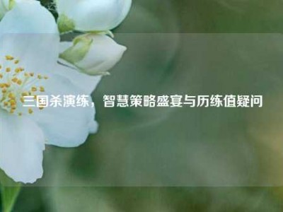 三国杀演练，智慧策略盛宴与历练值疑问