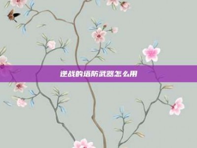 逆战的塔防武器怎么用