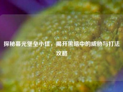 探秘暮光堡垒小怪，揭开黑暗中的威胁与打法攻略