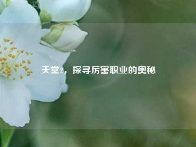 天堂2，探寻厉害职业的奥秘
