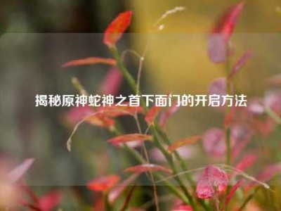 揭秘原神蛇神之首下面门的开启方法