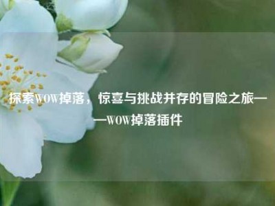 探索WOW掉落，惊喜与挑战并存的冒险之旅——WOW掉落插件