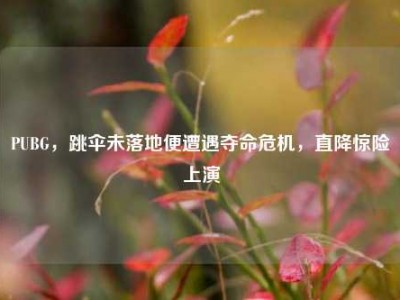 PUBG，跳伞未落地便遭遇夺命危机，直降惊险上演