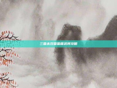 三国杀双国国籍武将攻略