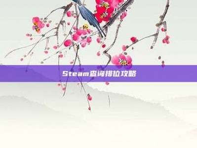 Steam查询排位攻略