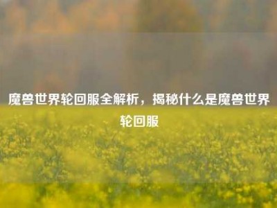 魔兽世界轮回服全解析，揭秘什么是魔兽世界轮回服