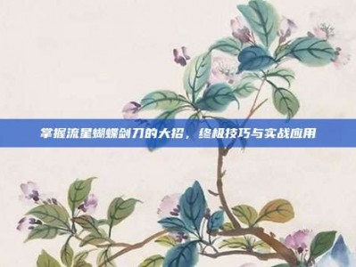 掌握流星蝴蝶剑刀的大招，终极技巧与实战应用
