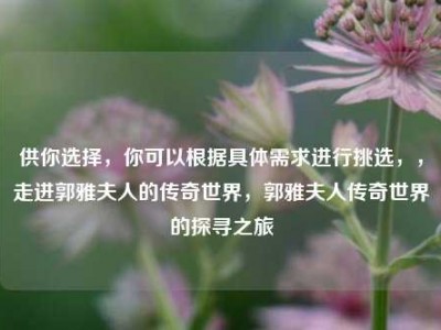 供你选择，你可以根据具体需求进行挑选，，走进郭雅夫人的传奇世界，郭雅夫人传奇世界的探寻之旅