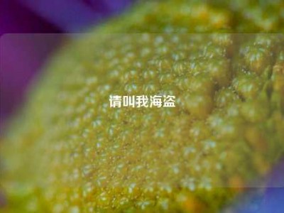请叫我海盗