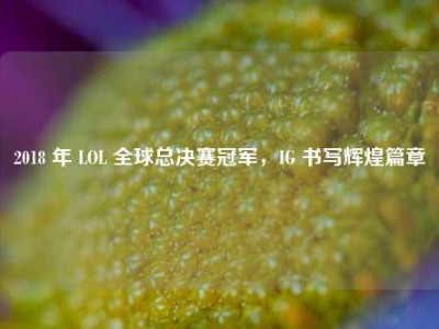 2018 年 LOL 全球总决赛冠军，IG 书写辉煌篇章