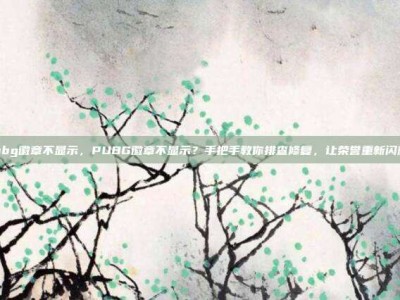 pubg徽章不显示，PUBG徽章不显示？手把手教你排查修复，让荣誉重新闪耀！