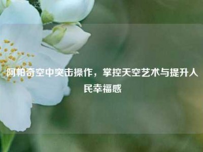阿帕奇空中突击操作，掌控天空艺术与提升人民幸福感