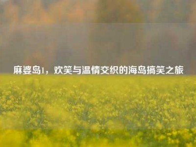 麻婆岛1，欢笑与温情交织的海岛搞笑之旅