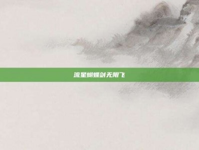 流星蝴蝶剑无限飞