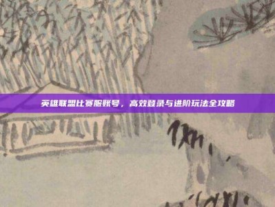 英雄联盟比赛服账号，高效登录与进阶玩法全攻略
