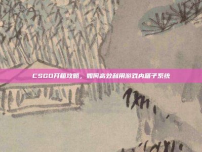 CSGO开箱攻略，如何高效利用游戏内箱子系统