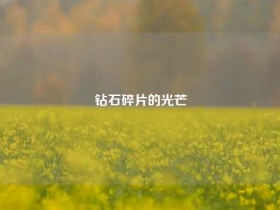 钻石碎片的光芒
