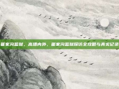 崔家沟监狱，高墙内外，崔家沟监狱探访全攻略与真实记录