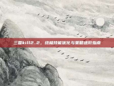 三国kill2..2，终极技能优化与策略进阶指南