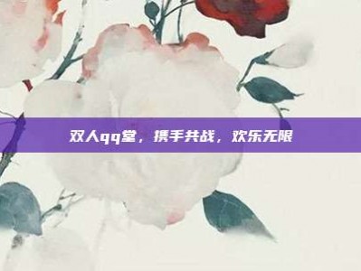 双人qq堂，携手共战，欢乐无限