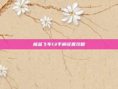 极品飞车13手柄设置攻略