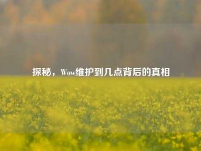探秘，Wow维护到几点背后的真相