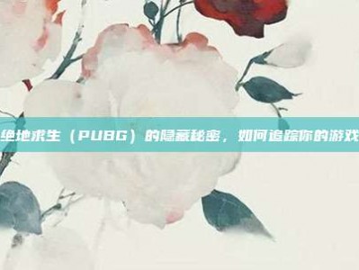 揭秘绝地求生（PUBG）的隐藏秘密，如何追踪你的游戏足迹