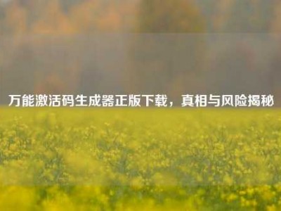 万能激活码生成器正版下载，真相与风险揭秘