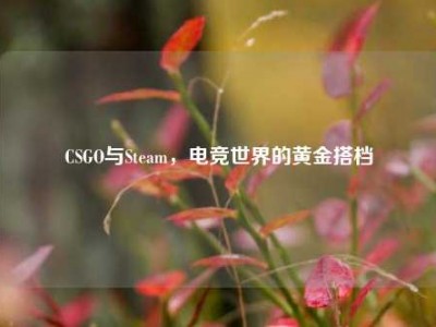 CSGO与Steam，电竞世界的黄金搭档
