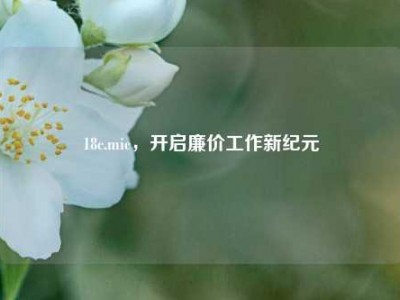 18c.mic，开启廉价工作新纪元