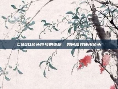 CSGO箭头符号的奥秘，如何高效使用箭头