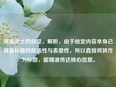 黑暗武士的自觉，解析，由于给定内容本身已具备标题的简洁性与表意性，所以直接将其作为标题，能精准传达核心信息。