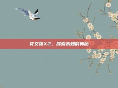 符文页X2，探索未知的奥秘