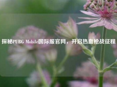 探秘PUBG Mobile国际服官网，开启热血枪战征程