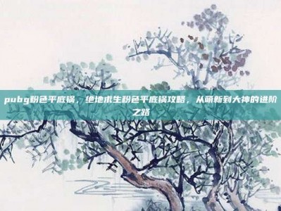 pubg粉色平底锅，绝地求生粉色平底锅攻略，从萌新到大神的进阶之路