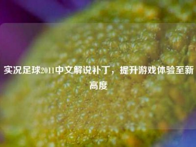 实况足球2011中文解说补丁，提升游戏体验至新高度