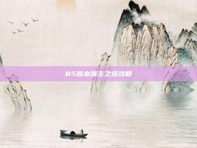85版本领主之塔攻略