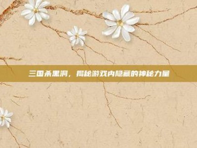 三国杀黑洞，揭秘游戏内隐藏的神秘力量