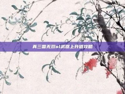 真三国无双ol武器上升值攻略