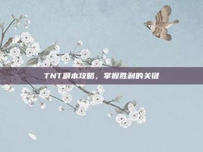 TNT副本攻略，掌握胜利的关键