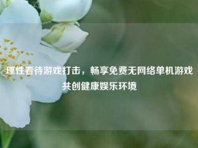 理性看待游戏打击，畅享免费无网络单机游戏共创健康娱乐环境