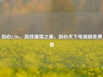剑心1.20e，游戏璀璨之星，剑心天下电视剧免费看