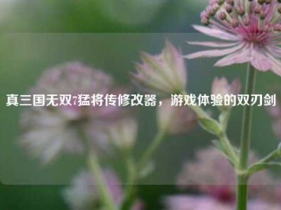 真三国无双7猛将传修改器，游戏体验的双刃剑