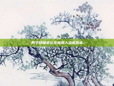 男子疑碰瓷公交被路人淡定拖走