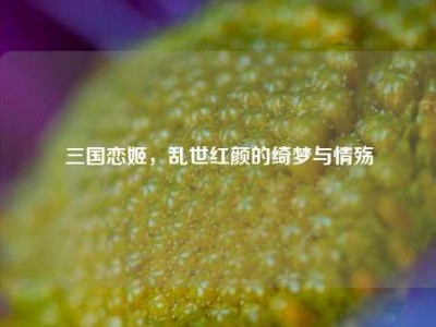 三国恋姬，乱世红颜的绮梦与情殇